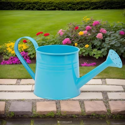 Metalen Gieter - Waterplanten Sproeier - Binnen en Buiten - Robuust Gegalvaniseerd IJzer - 22.7 x 10.7 x 10.7 cm