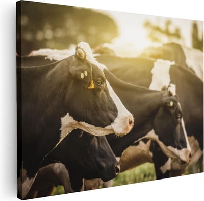 Artaza Canvas Schilderij Koe - 40x30 cm - Klein - Wanddecoratie Dieren - Muurdecoratie Woonkamer - Kamer Accessoires