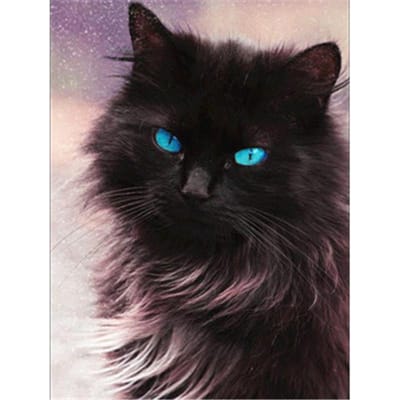 Animal chat perceuse ronde complète diamant peinture cristal 5D bricolage diamant broderie 20X30CM black
