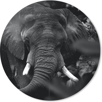 Muismat rond 20x20 cm - Mousepad Dieren - Olifant - Vlinders - Zwart - Wit - Ronde muismatten