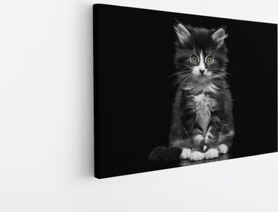 Saammp Canvas Schilderij - Kat - Portret - Dieren - 45x30 - Foto op canvas - Wanddecoratie - Muurdecoratie Woonkamer - Slaapkamer decoratie - Canvas Print