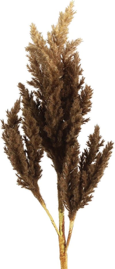 Decoratie takken - kunststof -  Astilbe - Bruin - 81cm