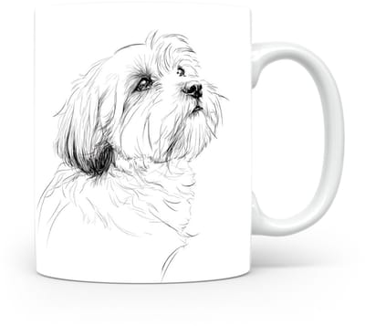 Beker Lhasa Apso