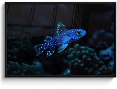 Poster in lijst - Fotolijst 120x80 cm - Posters - Vis - Stippen - Koraal - Blauw - Posterlijst zwart - Decoratie - Wanddecoratie woonkamer - Muurdecoratie slaapkamer