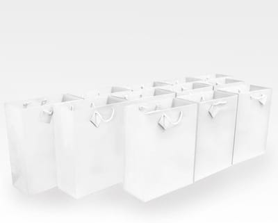 Premium kwaliteit papieren geschenkzakken/feestzakjes voor verjaardagsfeestjes, bruiloften, feestdagen en alle gelegenheden (12 geschenkzakken in één bestelling) - groot wit 10 x 5 x 13 x 5 x 5