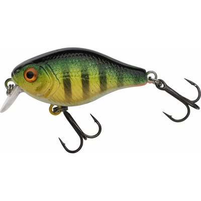 Lok Berkley Pulse Fry shallow