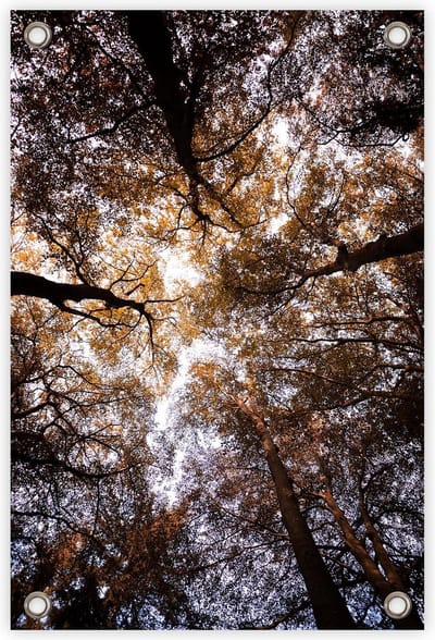 Tuinposter “Bladerdak” - “60x90cm” - poster tuin