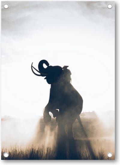 Olifant in Rijstveld - Tuinposter 50x70 - Wanddecoratie - Dieren
