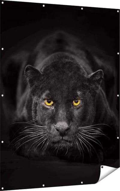 Gards Tuinposter Zwarte Panter met Oranje Ogen - 120x160 cm - Tuindoek - Tuindecoratie - Wanddecoratie buiten - Tuinschilderij
