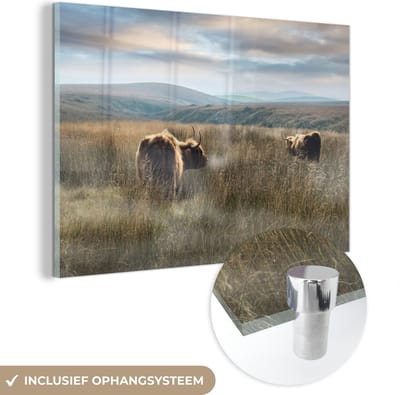 MuchoWow® Glasschilderij 150x100 cm - Schilderij acrylglas - Schotse Hooglanders - Mist - Gras - Foto op glas - Schilderijen