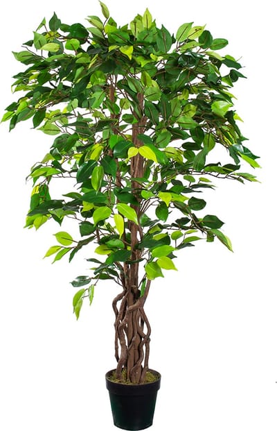 Kunstplant Ficus Groen H125cm - HTT Decorations kunstplanten