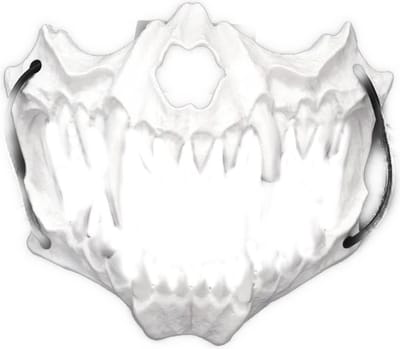 BamBella ® - Halloween Masker Skull verkleden feest festival carnaval makers