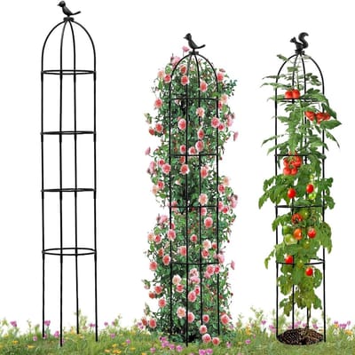 CLGP® Klimrek Planten - Plantensteunen voor Klimplanten - Wandrek voor Buiten - Zwart