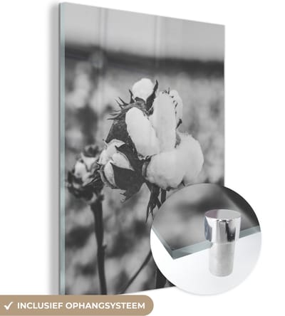 MuchoWow® Glasschilderij 30x40 cm - Schilderij acrylglas - Katoen - Planten - Zwart - Wit - Foto op glas - Schilderijen