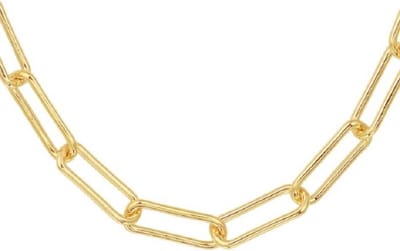 Schitterende Zilveren Gold Plated Halsketting Paperclip