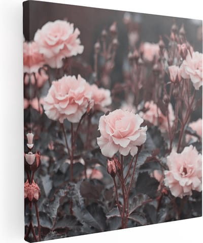 Artaza Canvas Schilderij Rozen - 80x80 cm - Wanddecoratie Bloemen - Muurdecoratie Woonkamer - Schilderijen Op Canvas