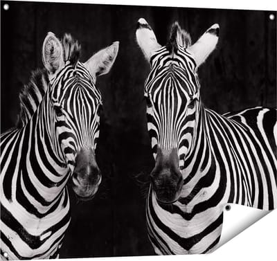 Gards Tuinposter Twee Zebra's - Zwart Wit - 100x80 cm - Tuindoek - Tuindecoratie - Wanddecoratie buiten - Tuinschilderij
