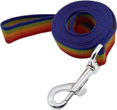 Nylon Hondentrainingsriem 1,5 m - Lichtgewicht Duurzame Hondenriem voor Wandelen en Training - Voor Kleine en Middelgrote Honden