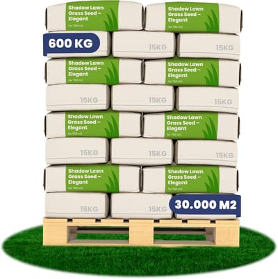 Schaduwgazon Graszaad (600kg, 3 ha) - Graszaad Schaduw - Graszaad Snelkiemend - Organifer Elegant - Schaduw Graszaad - NAK Gecertificeerd - Zeer hoge schaduw en droogte tolerantie - Ideaal voor Aanleg & Herstel in Schaduw