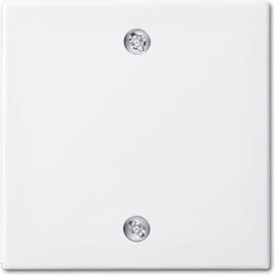 ABB Busch-Jaeger Balance SI Schakelelement/Centrale Plaat - 2CKA001753A0224