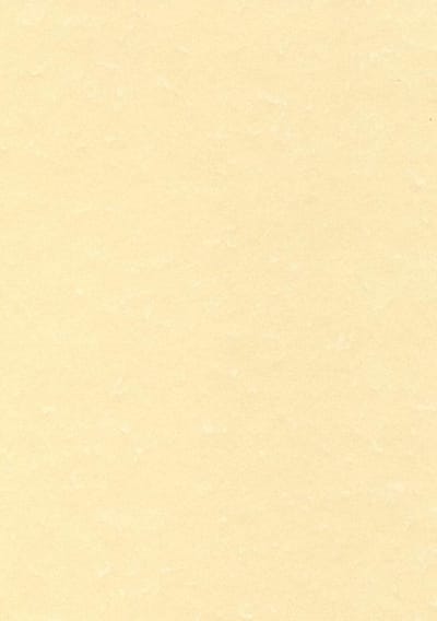 THEMA A4 CHAMPAGNE 165G 50V