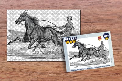 Puzzel Een illustratie van een paard in de drafsport - Legpuzzel - Puzzel 1000 stukjes volwassenen