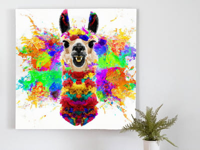 Its lama time | It's lama time | Kunst - 75x75 centimeter op Forex | Foto op Forex