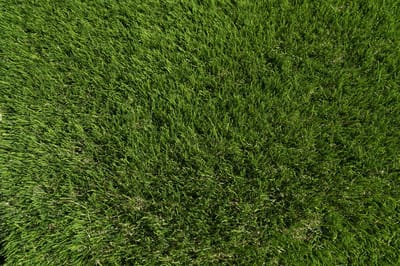 Kunstgras 4 x 13 meter - 40mm ✅ Nederlandse Productie - Uitgeroepen zachtste Grastapijt ✅ Waterdoorlatend | Tuin | Kind | Dier