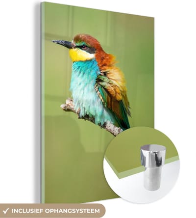 MuchoWow® Glasschilderij 30x40 cm - Schilderij acrylglas - Vogel - Dieren - Bijeneter - Foto op glas - Schilderijen