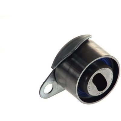 Tandriempoelie SKF VKM 16101