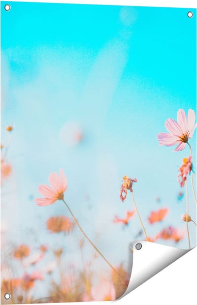 Gards Tuinposter Paarse Kosmos Bloemen - 60x80 cm - Tuindoek - Tuindecoratie - Wanddecoratie buiten - Tuinschilderij