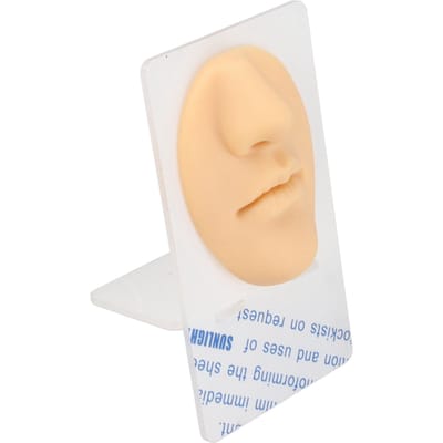 Modèle Bouche Nez en Silicone 3D Réaliste Réutilisable Présentoir Modèle d'Entraînement Piercing Nez Couleur Peau naturel