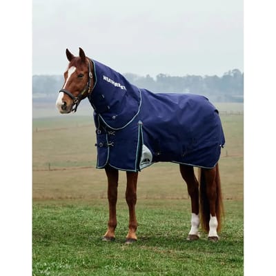 Afneembare buitendeken voor paarden met hals Weatherbeeta Comfitec Plus Dynamic 220g