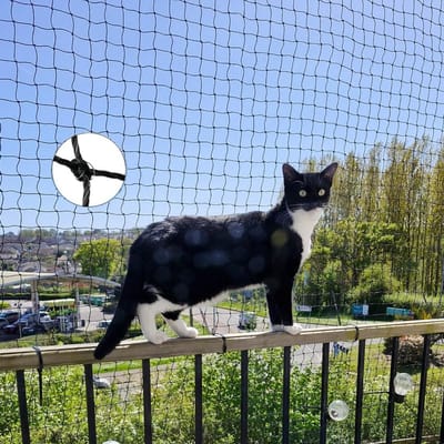 Kattenveiligheidsnet - Balkonnet huisdier - Veiligheid huisdier - Draadversterkt bijtbestendig - 2 x 3 meter - Zwart