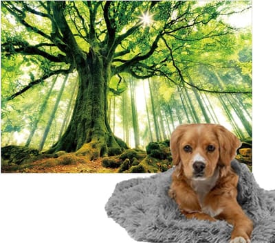 Ulticool – Zachte Fleece Deken - 100x150 cm – Boom Kracht Natuur Licht Bos - Dubbelzijdige Plaid voor Huisdier - Versiering voor huiskamer - Accessoire op de bank - Achterbank Auto - Kofferbak – Warme Grijze Warmtedeken voor Kat Poes Hond