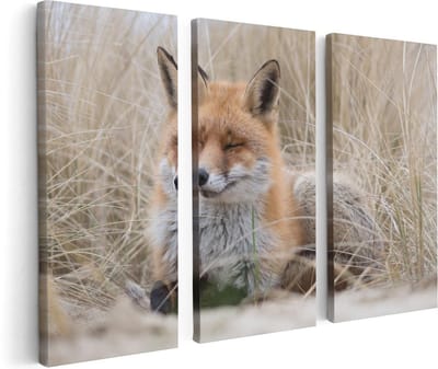 Artaza Canvas Schilderij Drieluik Vos in de Duinen  - 120x80 - Foto Op Canvas - Canvas Print