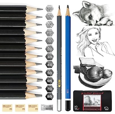 By shayne - Potloodset - Tekenpennen - 14-delige Kunstpenenset - Geschikt voor Beginners - Met Blik - Grafietpotloden - Kinderen en Artiesten