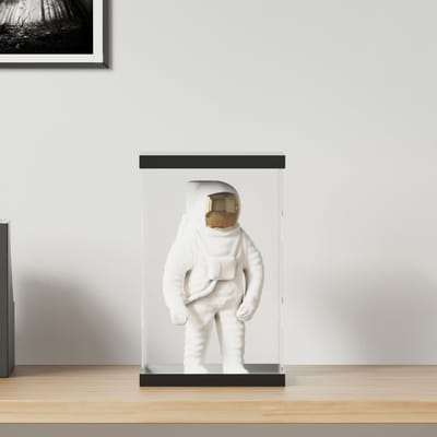 vidaXL - Vitrine - transparant - 22x18x35 - cm - acryl
