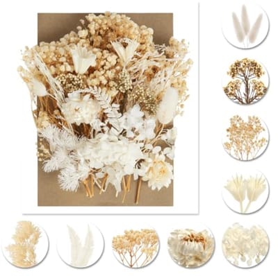 Natuurlijke gedroogde bloemen set voor knutselen en decoratie - 1 pakket met diverse kleuren en vormen