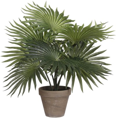 Mica Decorations Palm kunstplant/struik - groen - H30 x D35 cm - top kwaliteit
