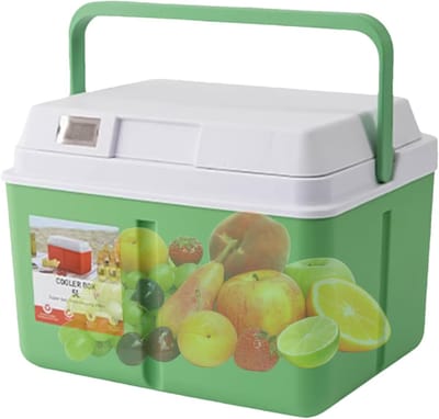 Kleine Koelbox - Draagbare IJskoeler - Picknick en Reizen - Met Temperatuurweergave - 5L of 8L - Groen