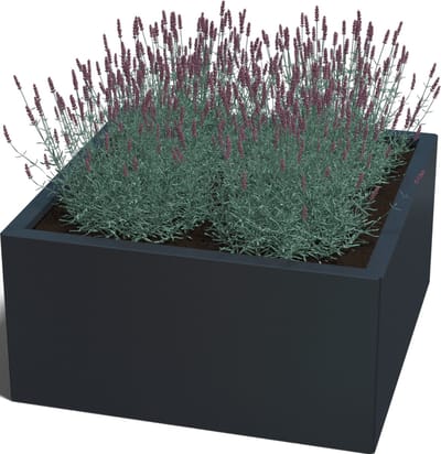 Gepoedercoat staal - plantenbak - Vierkant - 80x80x80cm - Zwart - Zonder bodem - MySteel