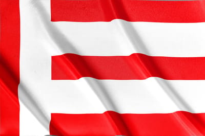 Vlag Eindhoven| Eindhoven | 200x 100 cm