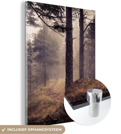 MuchoWow® Glasschilderij 30x40 cm - Schilderij acrylglas - Mist - Herfst decoratie - Natuur - Bos - Foto op glas - Schilderijen