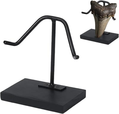 1 stuk haaientandhouder met metalen arm en basis van grenenhout, decoratieve ezel voor fossielen, megalodon en agaat, 101 x 63 x 115 mm, perfect voor tentoonstellingen