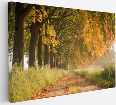 Saammp Canvas Schilderij - Bospad - Nederland - Landschap - Natuur - 30x20 - Foto op canvas - Wanddecoratie - Muurdecoratie Woonkamer - Slaapkamer decoratie - Canvas Print