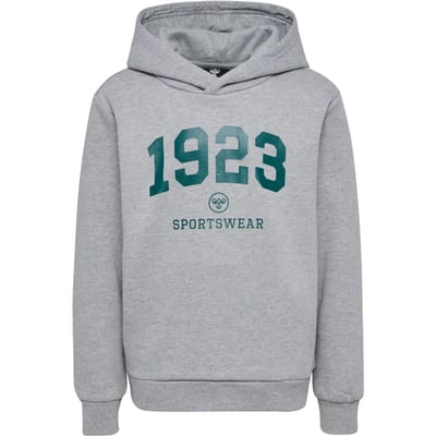 Jongen met capuchon sweatshirt Hummel hmlNIPPS