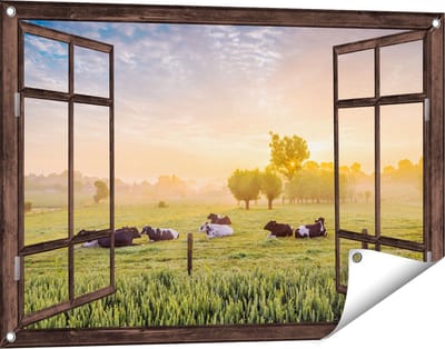 Gards Tuinposter Doorkijk Koeien in de Wei tijdens Zonsopgang - 90x60 cm - Tuindoek - Tuindecoratie - Wanddecoratie buiten - Tuinschilderij