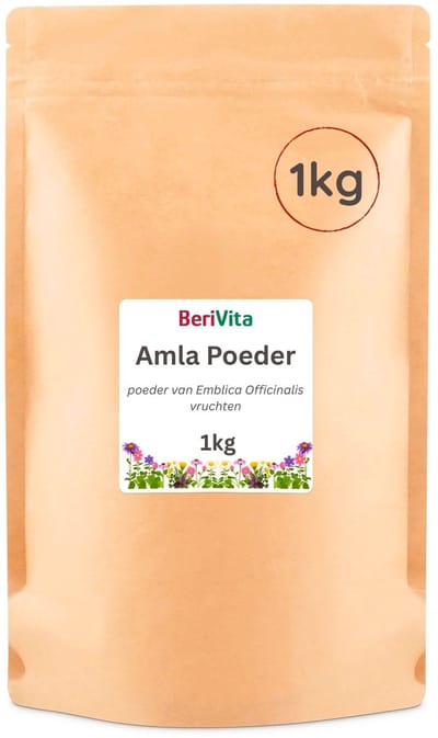 Amla Poeder 1kg - Puur Gooseberry Powder
