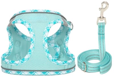 Famanu – Step-in hondentuig met lijn, zacht mesh vestharnas met reflectie voor kleine honden en katten, lichtblauw